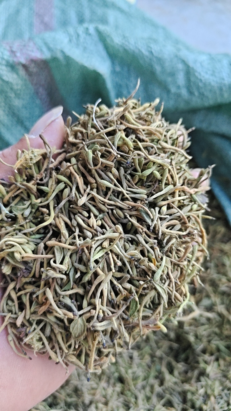 贵州精品金银花现货直发无硫无霉无杂质产地直销