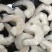 单冻虾仁，全新冷冻，条条完整，营养丰富，
