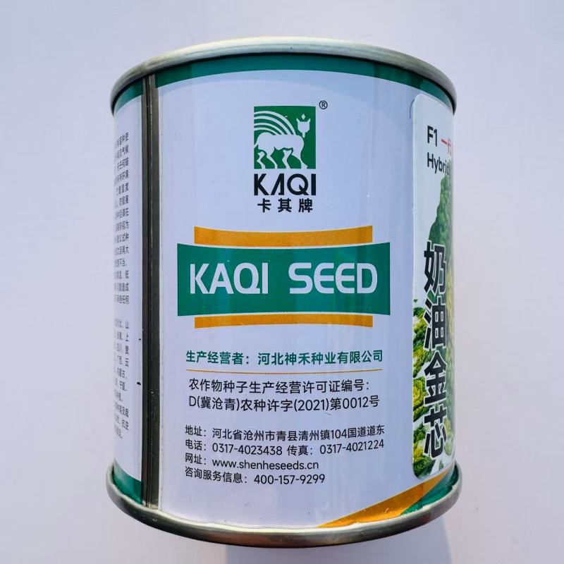 卡其奶油金芯F1黄心乌塌菜种子鲜甜软糯秋播耐寒黄心菊花菜