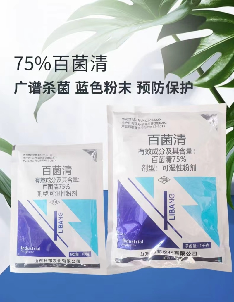 山东利邦75%百菌清蓝粉蓝色百菌清蔬菜果树广谱杀菌剂