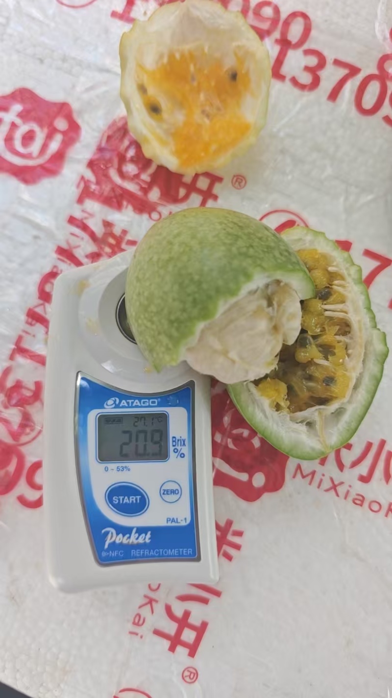 西双版纳百香果，果香四溢
