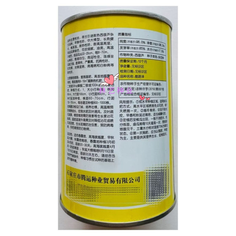 酷路泽荷兰引进耐热西葫芦种子早熟性好中大棵型根系强