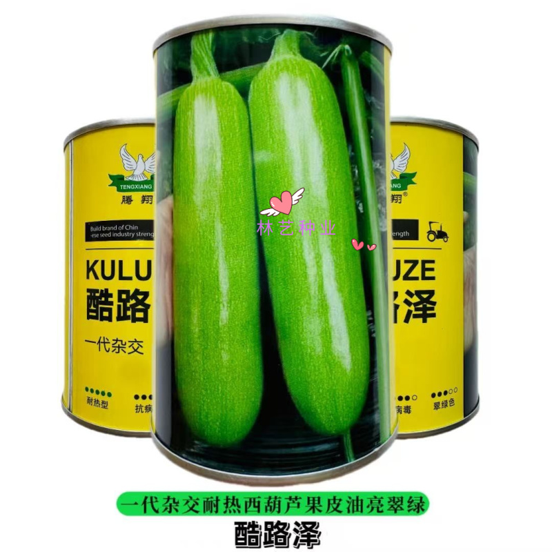 酷路泽荷兰引进耐热西葫芦种子早熟性好中大棵型根系强