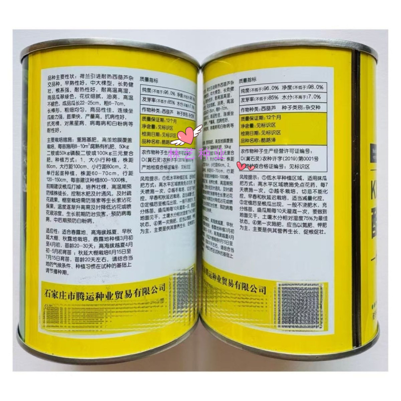 酷路泽荷兰引进耐热西葫芦种子早熟性好中大棵型根系强