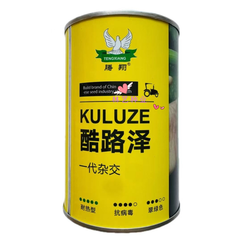 酷路泽荷兰引进耐热西葫芦种子早熟性好中大棵型根系强