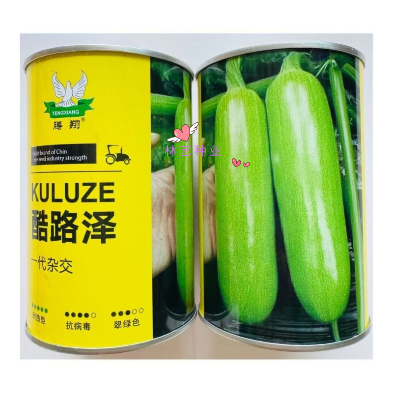 酷路泽荷兰引进耐热西葫芦种子早熟性好中大棵型根系强