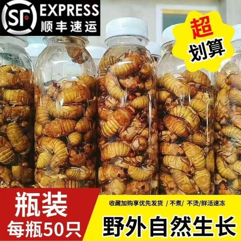 金蝉知了猴蝉蛹松蝉承接社区团购线下批发对接全平台电商
