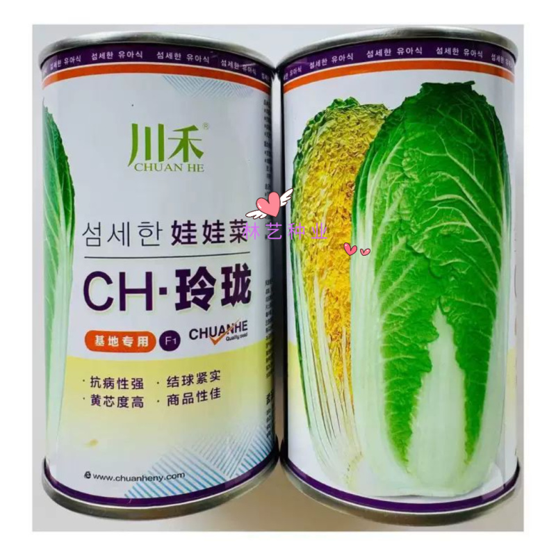 川禾CH玲珑黄心娃娃菜种子韩国进口早熟抗病大白菜种子