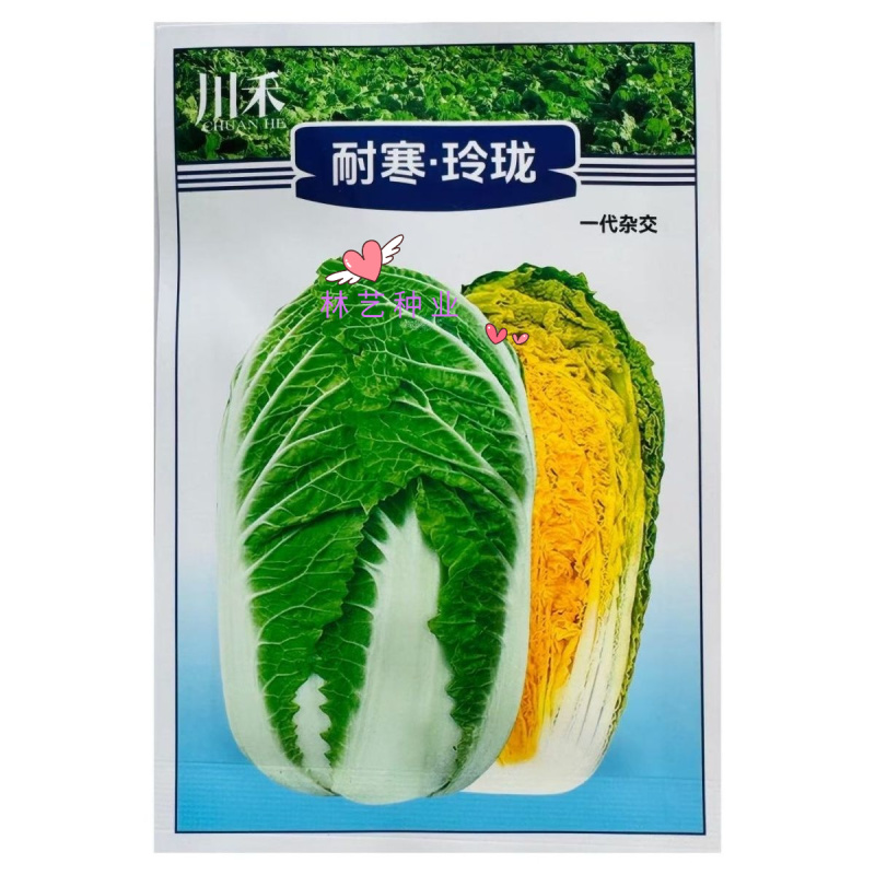 耐寒玲珑黄心娃娃种子杂交绿叶黄心口感好大白菜籽早熟抗病