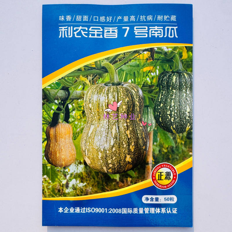 利农金香7号小南瓜种子味香甜面口感好肉厚耐贮藏产量高