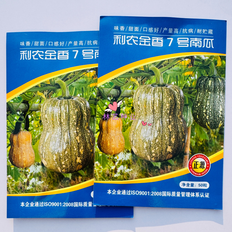 利农金香7号小南瓜种子味香甜面口感好肉厚耐贮藏产量高