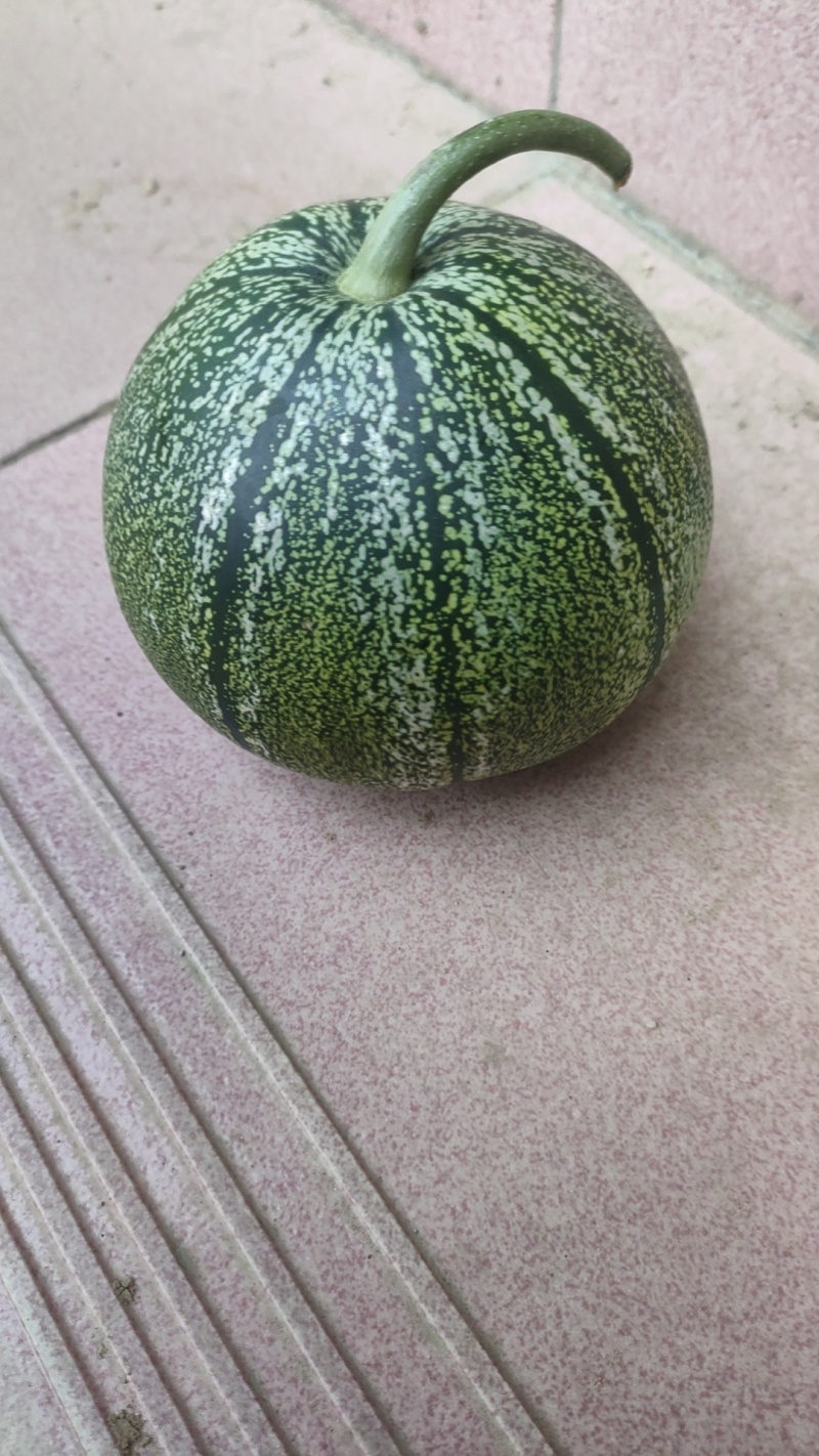 绿宝石甜瓜，