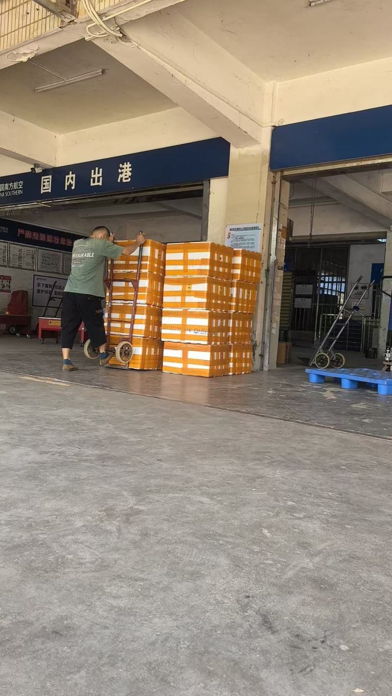江西新鲜去心白莲，产地直供全国商超档口批发平台一件代发