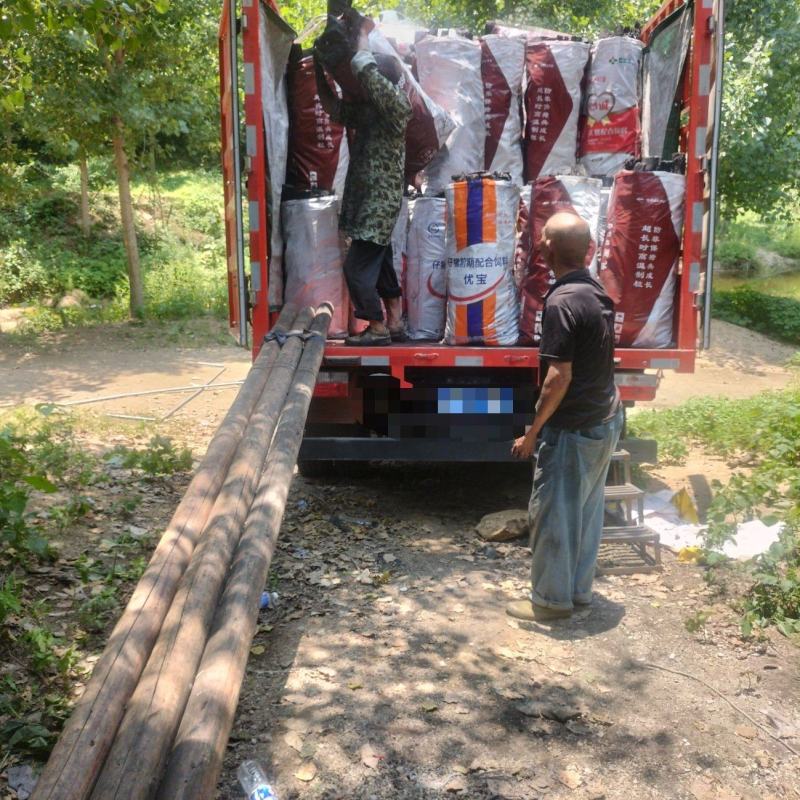 木碳，栗树碳，干碳