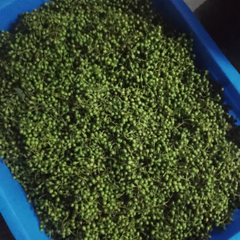木姜子鲜果发货