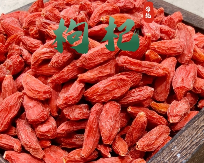 靖远枸杞
