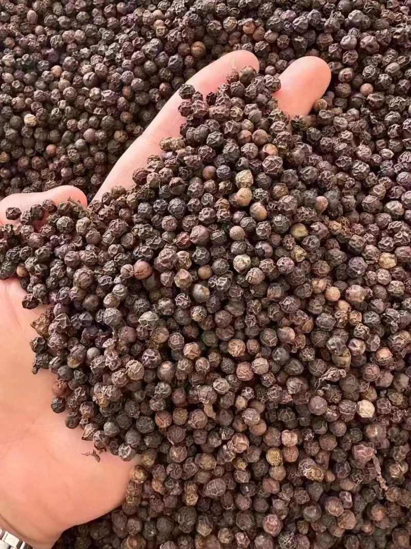 黑胡椒粒优质黑胡椒一手货源颗颗饱满纯干净货