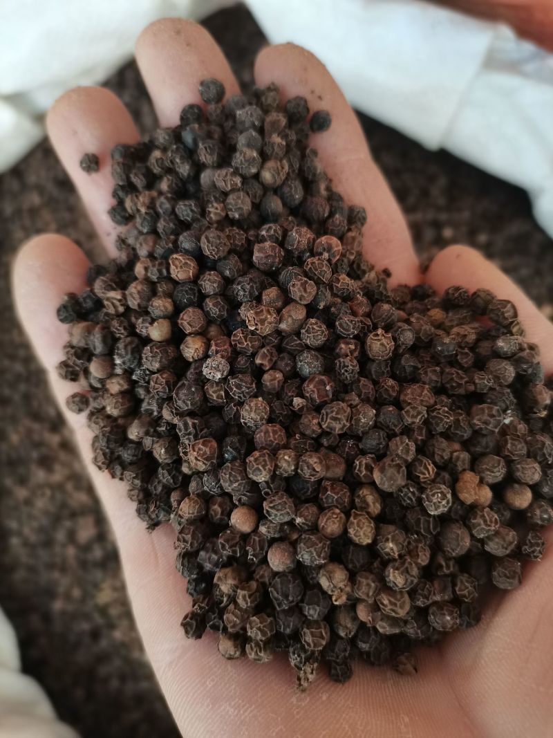 黑胡椒粒优质黑胡椒一手货源颗颗饱满纯干净货