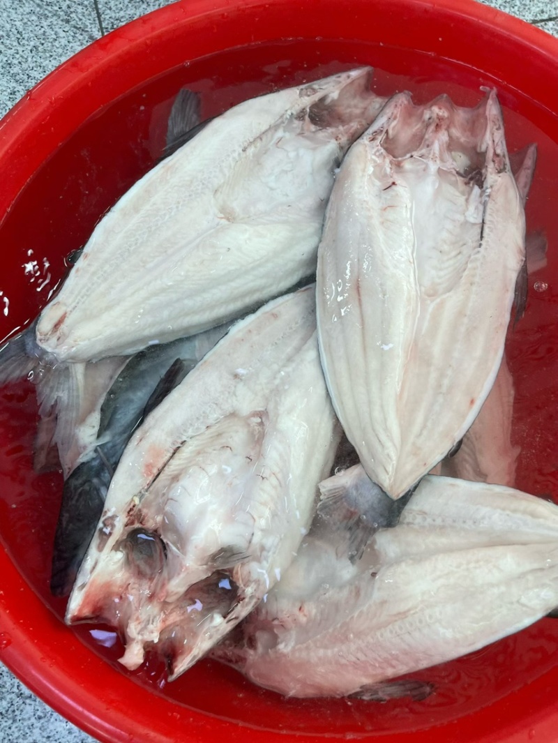 济南耕海牧渔巴沙鱼开背鱼黑鱼片