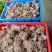 常年供应龙爪菇