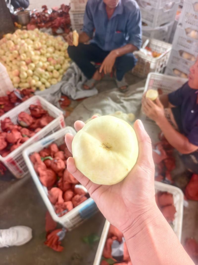 产地大蟠桃脆甜多汁质量嘎嘎好