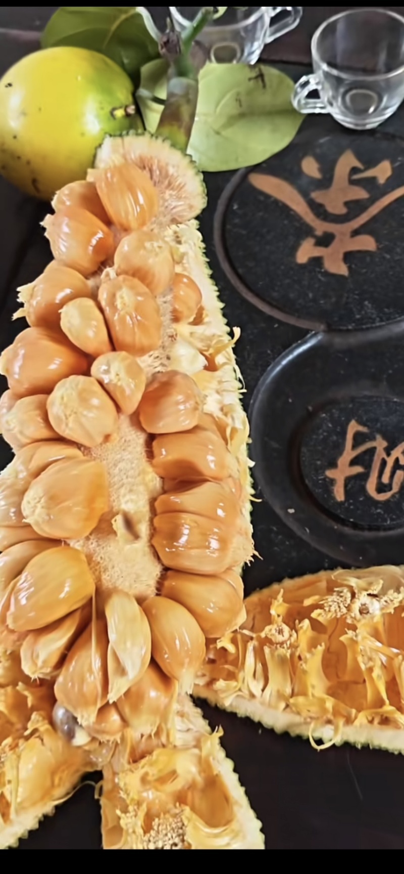 海南香蜜一号榴莲蜜苗嫁接良品，全国发货