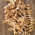 【虎皮鸡爪】精修去甲40/50克中号