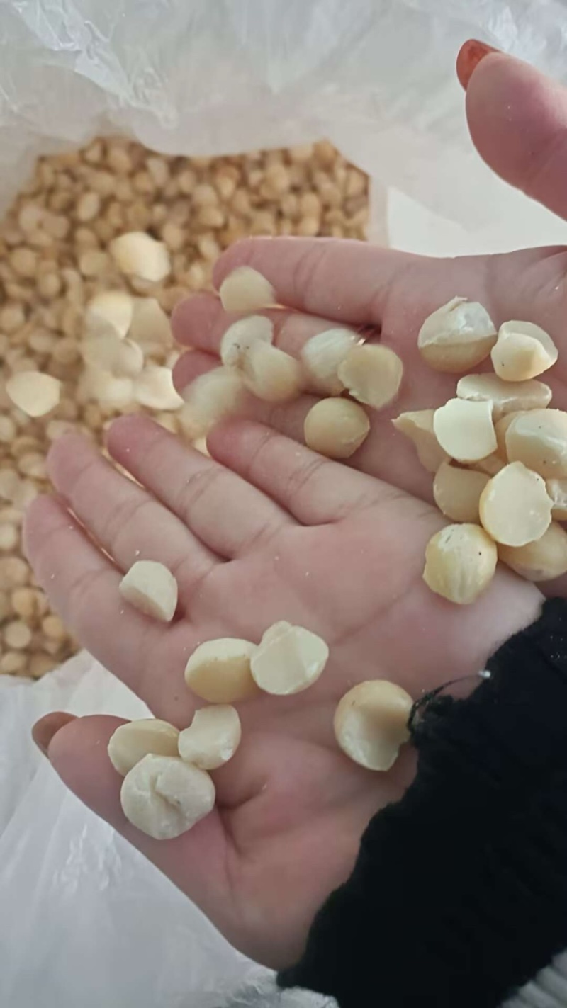 夏威夷果半粒