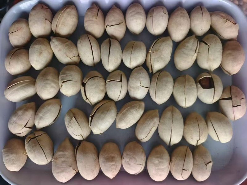 精品果，厂家直销，电商一键代发