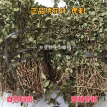 虎刺中药材自然晾晒整颗发货