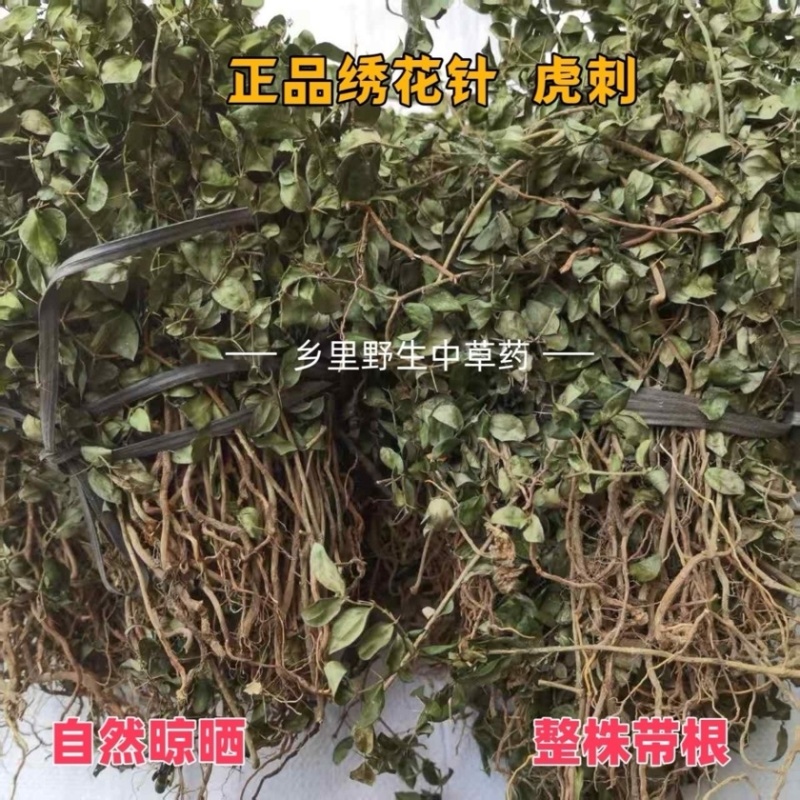 虎刺中药材自然晾晒整颗发货