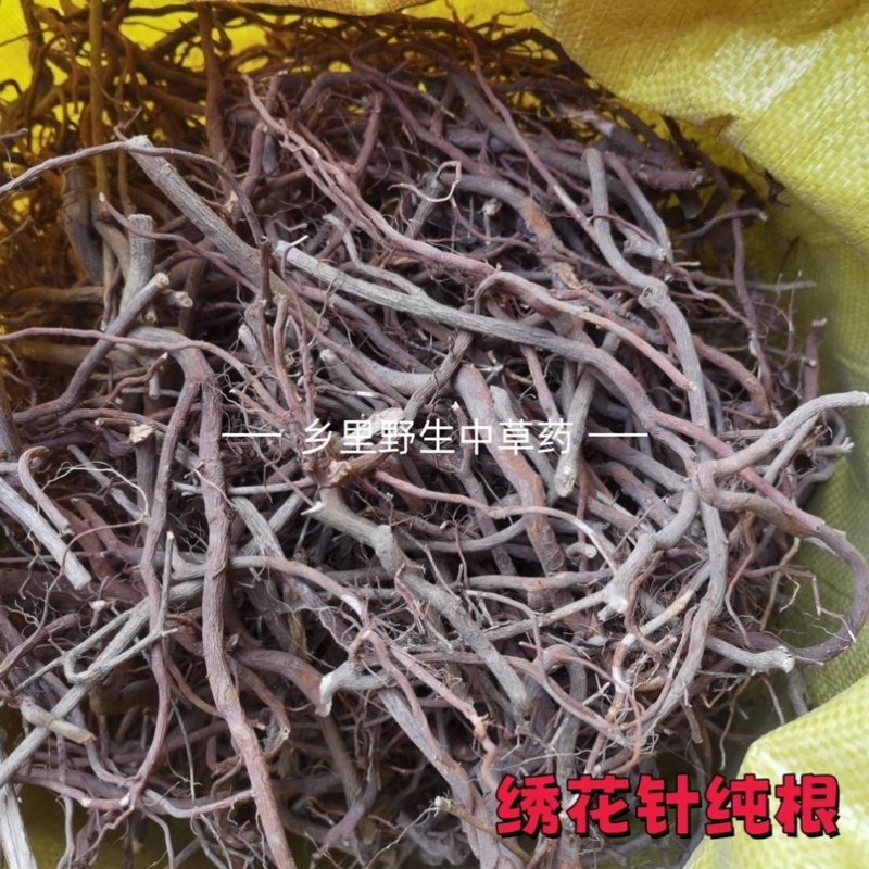 虎刺中药材自然晾晒整颗发货