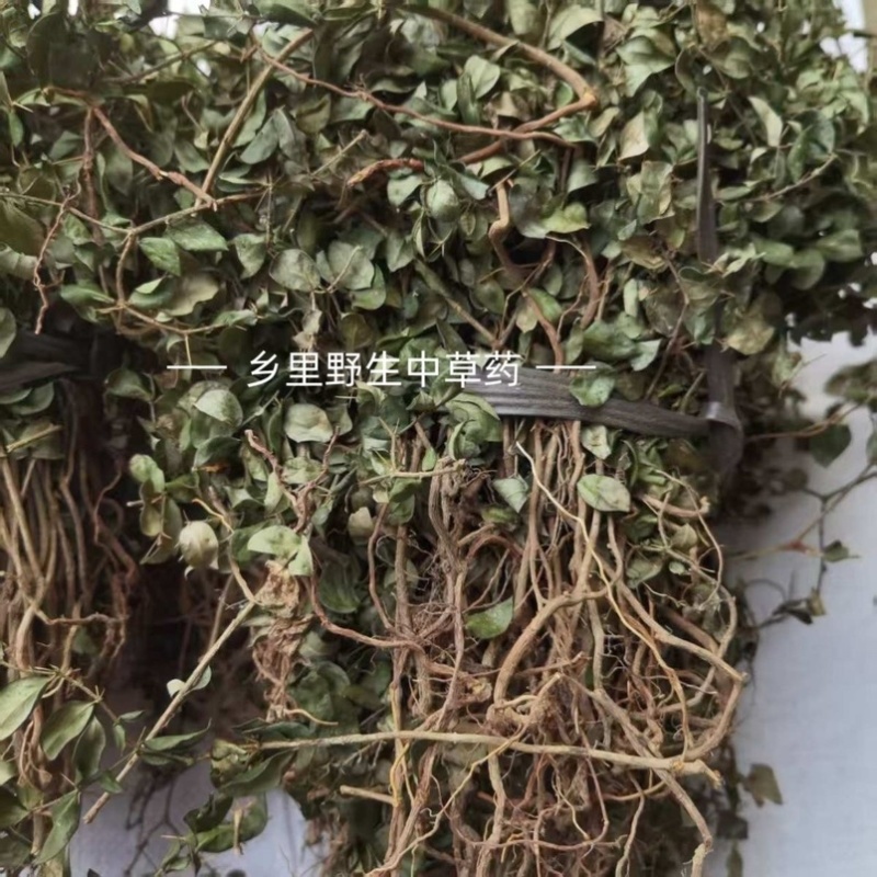 虎刺中药材自然晾晒整颗发货
