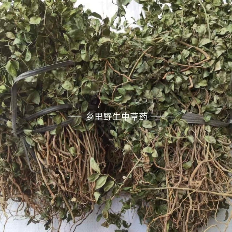 虎刺中药材自然晾晒整颗发货