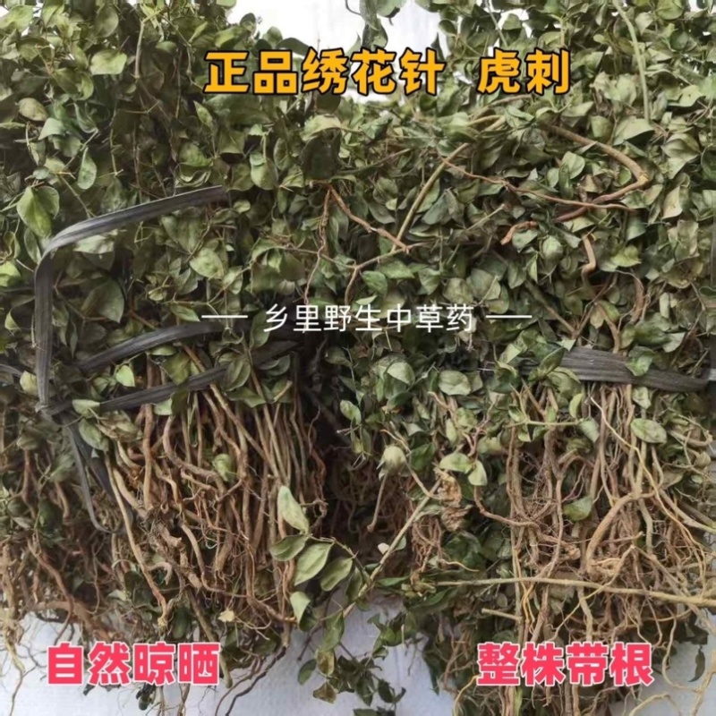 虎刺中药材自然晾晒整颗发货