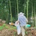 我爸养的蜂蜜，2000斤左右，没喂糖纯野生