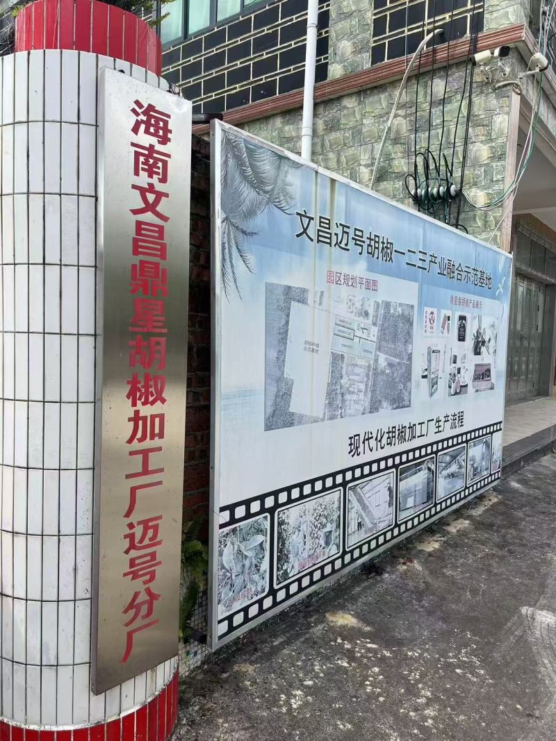海南鼎星白胡椒大坡白胡椒纯干无杂质货源稳定长期供应