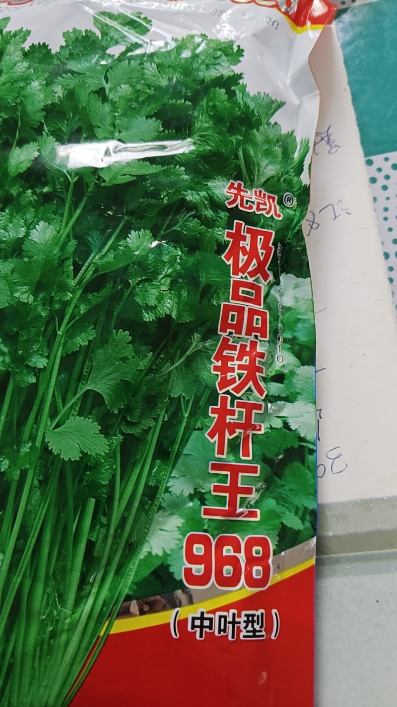 精品铁杆清香菜种子，需要的下单，一次合作，终身朋友