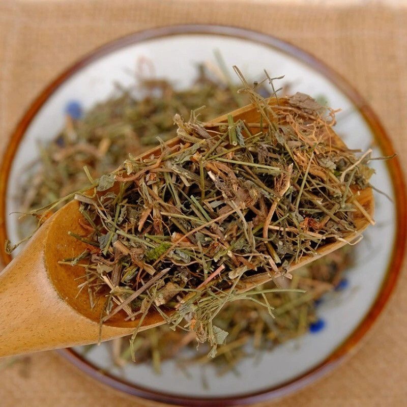 新鲜晒干的江西田基黄地耳草