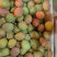 精品澳芒，热农芒果，小澳芒，大澳芒，品质保证