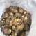 毛芋去根统货大量现货，产地直发，品质保证，量大从优