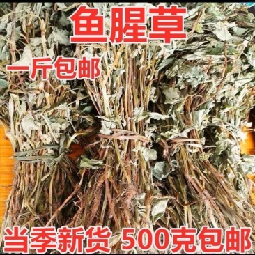 新鲜野生晒干鱼腥草新货凉茶