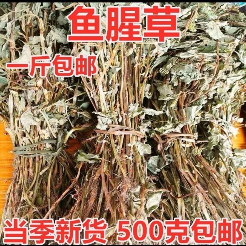 新鲜野生晒干鱼腥草新货凉茶