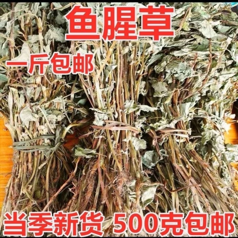新鲜野生晒干鱼腥草新货凉茶