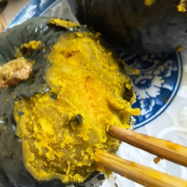 爆粉贝贝南瓜