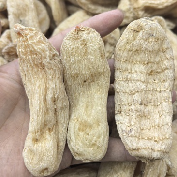 优质天麻产地直发品质好价格优规格齐全量大优惠