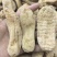 优质天麻产地直发品质好价格优规格齐全量大优惠