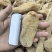 优质天麻产地直发品质好价格优规格齐全量大优惠
