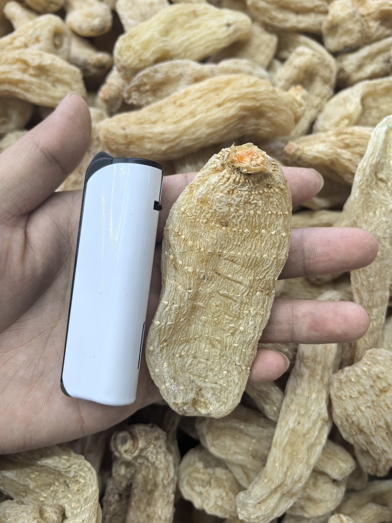 优质天麻产地直发品质好价格优规格齐全量大优惠