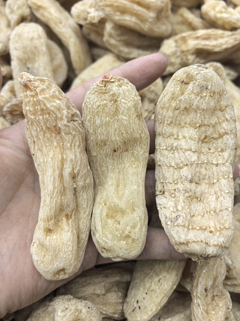 优质天麻产地直发品质好价格优规格齐全量大优惠
